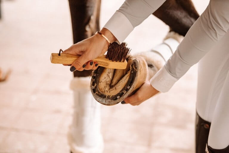 Adventskalender für Pferde und Reiter FUNDIS Reitsport