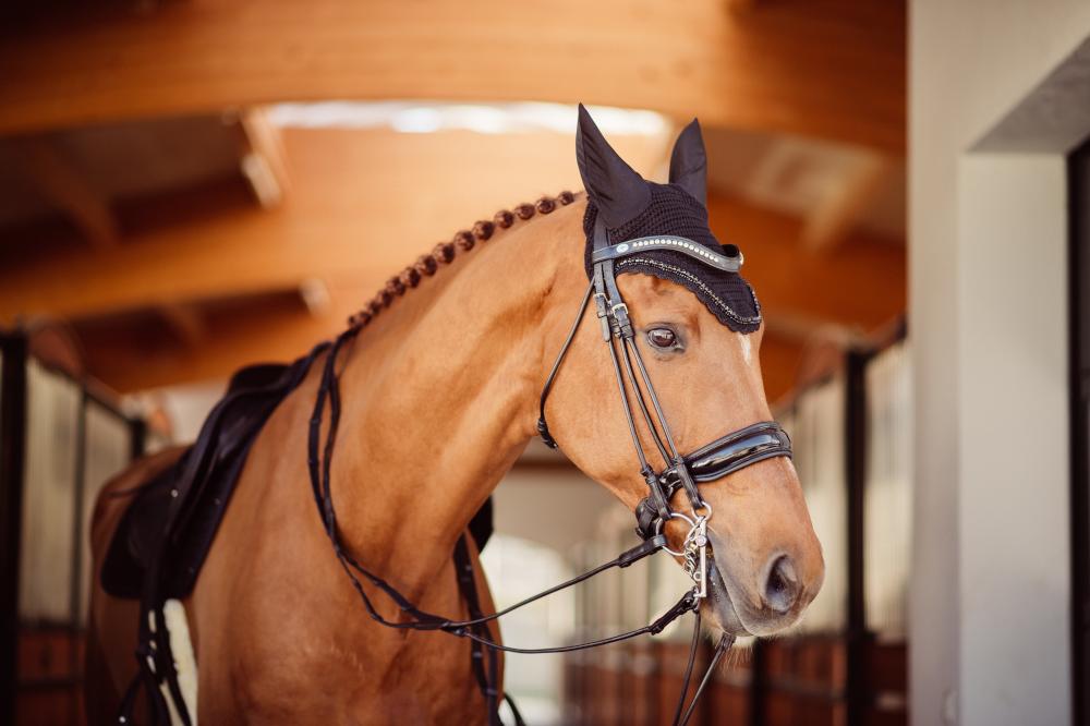 Fliegenhauben F R Pferde Jetzt Online Bestellen Fundis Reitsport